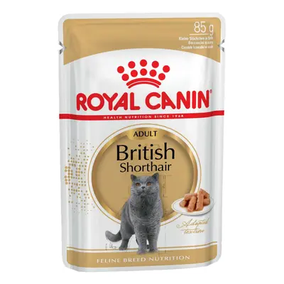 Royal Canin British Shorthair Adult umido in Salsa per gatti - Set %: 96 x 85 g