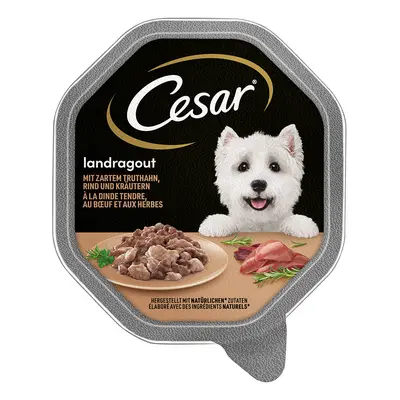 Cesar Vaschette 56 x 150 g Umido per cane - Ricette di Campagna: Tacchino, Manzo ed Erbe