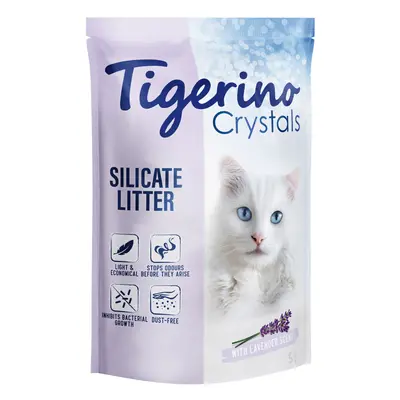 Multipack risparmio! 6 x 5 L Lettiere Tigerino Crystals - Lavanda 6 x 5 L (c.a. 13,2 kg)