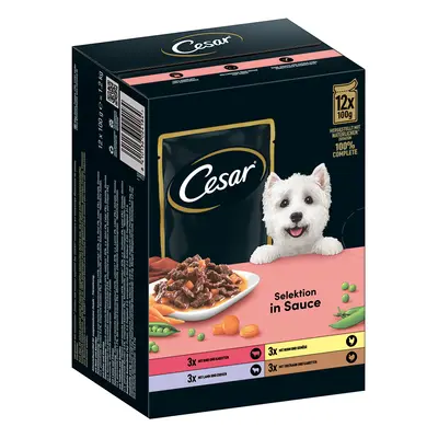 Cesar Selezione Carne e Verdure in Salsa Alimento umido per cani - 24 x 100 g