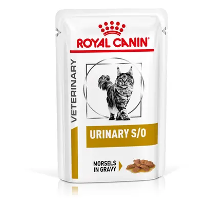 Royal Canin Urinary S/O Feline Veterinary in Salsa umido gatto - Set %: 24 x 85 g