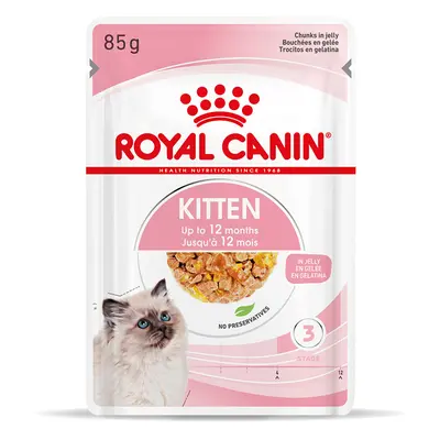 Royal Canin Kitten umido in Gelatina per gatti - 12 x 85 g