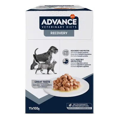 Advance Veterinary Diets Recovery Alimento umido per cani e gatti - Set %: 22 x 100 g