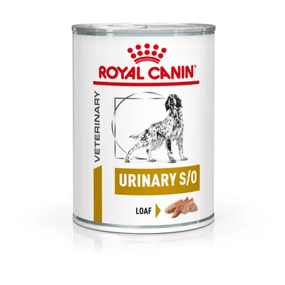 Royal Canin Urinary S/O Canine Veterinary Mousse umido per cane - Set %: 48 x 410 g