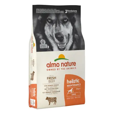 Multipack Risparmio! 2 x 12 kg Almo Nature Crocchette per cani - 2 x 12 kg Holistic Large Adult 