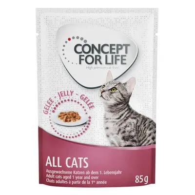 Concept for Life Indoor Cats - ricetta migliorata! - umido a completamento: 12 x 85 g Concept fo