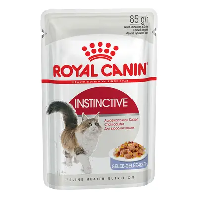 Royal Canin 48 x 85 g Alimento umido per gatti - Instinctive in Gelatina