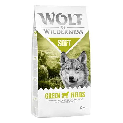 Multipack risparmio! 2 x 12 kg Wolf of Wilderness Adult Soft Crocchette semi-umide per cani - "G