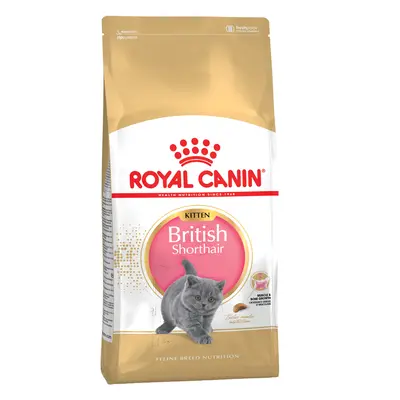 Multipack risparmio! 2 x 10 kg Royal Canin Breed Crocchette per gatto - British Shorthair Kitten