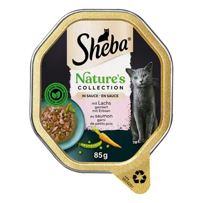 Sheba Nature's Collection in Salsa 22 x 85 g Alimento umido per gatti - con Salmone