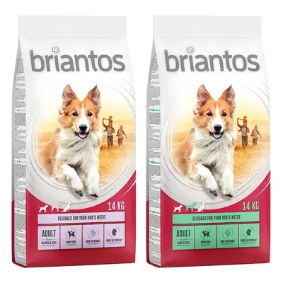 Multipack risparmio! 2 x Briantos - 2 x 14 kg Mix Adult: Salmone + Agnello