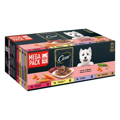 Cesar Le Delizie del Giorno Selezione in salsa Umido per cane - Set %: 80 x 100 g