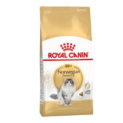 Royal Canin Norvegese delle Foreste Adult Crocchette per gatto - Set %: 2 x 2 kg