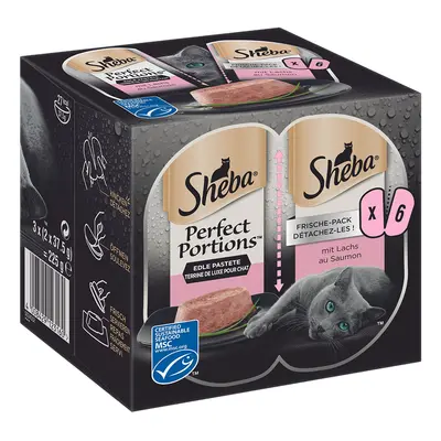 Sheba Perfect Portions 96 x 37,5 g Umido per gatto - Paté con salmone