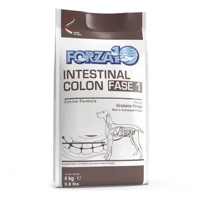 Forza10 Active Line Intestinal Colon Fase 1 Crocchette cane - Set %: 2 x 4 kg