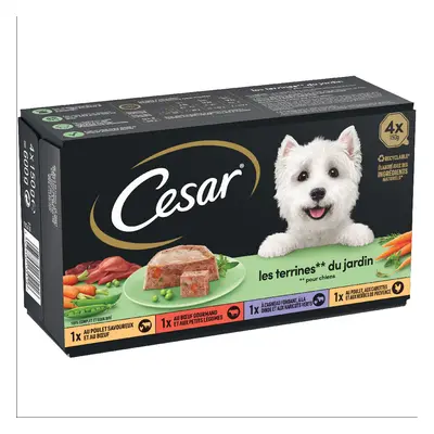 Cesar Ricette Classiche Pacco misto Umido per cane - Set %: 48 x 150 g Selezione di campagna