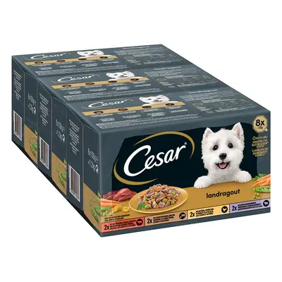 Pacco misto Cesar Ricette di Campagna Umido per cane - Set %: 48 x 150 g