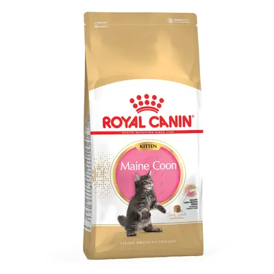 Multipack risparmio! 2 x 10 kg Royal Canin Breed Crocchette per gatto - Maine Coon Kitten