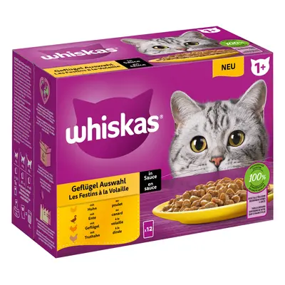 Whiskas 1+ buste 12 x 85 g Alimento umido per gatto - Selezione Carni bianche in Salsa