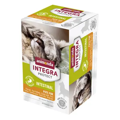 Animonda Integra Protect Adult Intestinal Vaschetta umido gatto - 6 x 100 g Tacchino