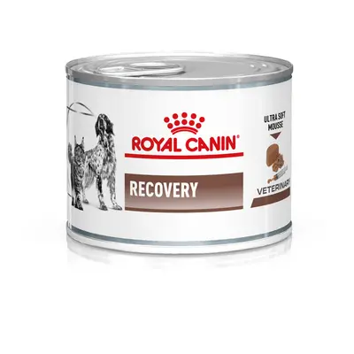 Royal Canin Recovery Veterinary Mousse cane e gatto - Set %: 24 x 195 g