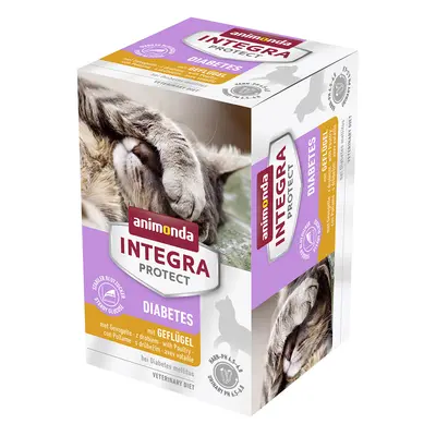 Animonda Integra Protect Adult Diabetes Vaschetta umido per gatto - Set %: 24 x 100 g Pollame