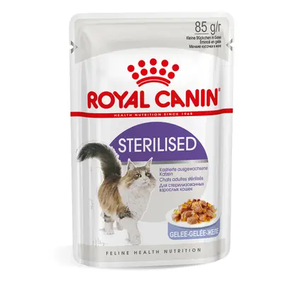 Royal Canin Sterilised umido in Gelatina per gatti - Set %: 96 x 85 g