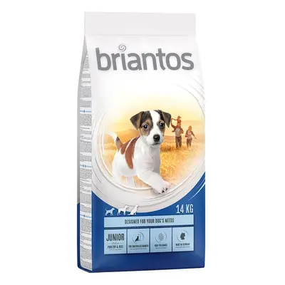 Multipack risparmio! 2 x Briantos - 2 x 14 kg Junior Young & Fit