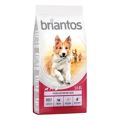 Briantos Adult Salmone & Riso Crocchette per cane - 14 kg