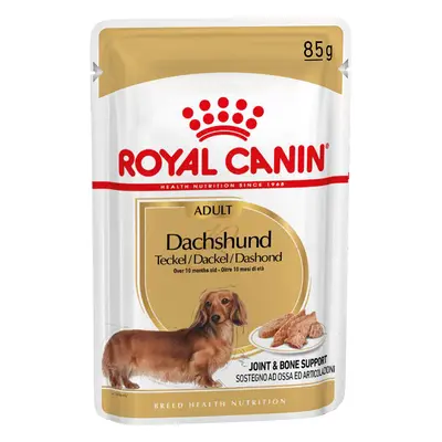 Royal Canin Bassotto (Dachshund) Adult Crocchette - Come integrazione: 24 x 85 g Umido Royal Can