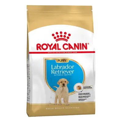 Multipack Risparmio! 2 x Royal Canin Breed Crocchette per cane - 2 x 12 kg Labrador Retriever Pu