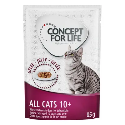 Concept for Life All Cats 10+ - in gelatina - 12 x 85 g