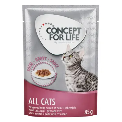 Concept for Life Indoor Cats - ricetta migliorata! - umido a completamento: 12 x 85 g Concept fo