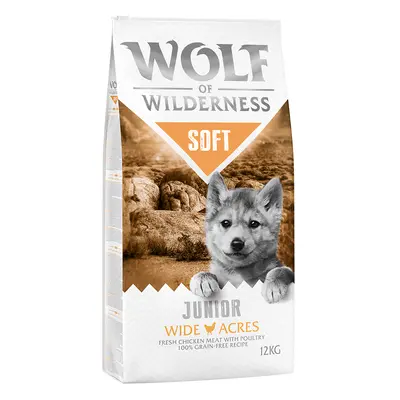 Multipack risparmio! 2 x 12 kg Wolf of Wilderness Adult Soft Crocchette semi-umide per cani - Ju