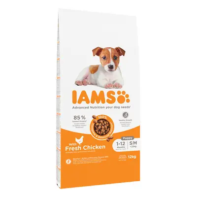 IAMS Advanced Nutrition Puppy Small & Medium Pollo Crocchette per cane - Set %: 2 x 12 kg