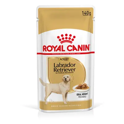 Royal Canin Labrador Retriever Adult Crocchette cane - Come integrazione: 20 x 140 g Umido Royal