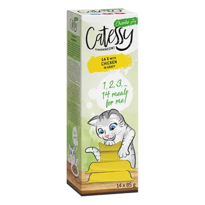 Catessy Bocconcini in Salsa Vaschette 14 x 85 g Umido per gatto - con Pollo