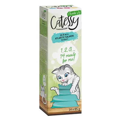 Catessy Bocconcini in Salsa Vaschette 14 x 85 g Umido per gatto - con Salmone dell'Atlantico