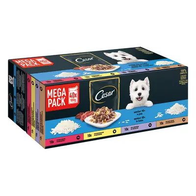 Cesar Senior 10+ in gelatina Umido per cane - 40 x 100 g