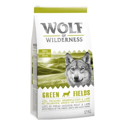 Multipack risparmio! 2 x 12 kg Wolf of Wilderness Crocchette senza cereali per cane - Pacco mist