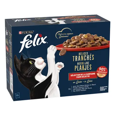 Felix Fettine al vapore 12 x 80 g Alimento umido per gatto - Selezione di terra in gelatina