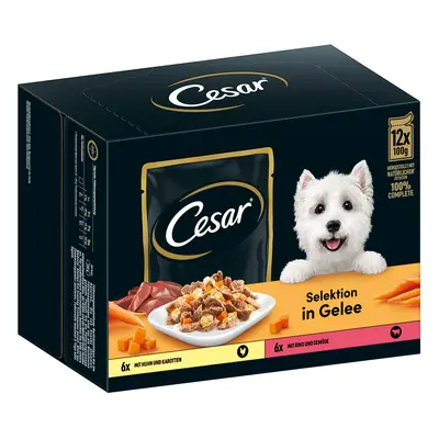 Cesar Selezione Carne e Verdure in Gelatina Alimento umido per cani - 24 x 100 g