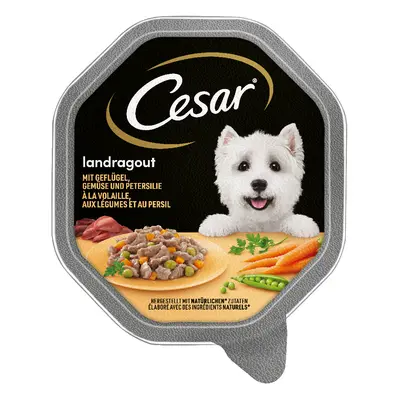 Cesar Vaschette 56 x 150 g Umido per cane - Ricette di Campagna: Pollo, Verdure e Prezzemolo