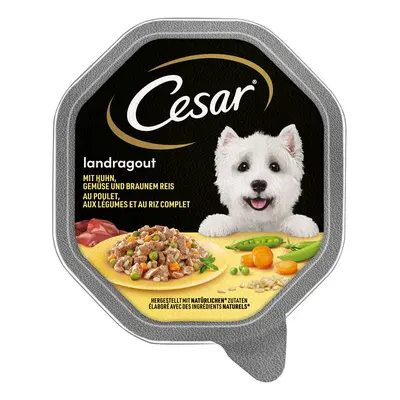 Cesar Vaschette 28 x 150 g Umido per cane - Scelta dello chef: Pollo, Verdure e Riso integrale