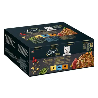 Cesar Natural Goodness 12 x 400 g Alimento umido per cani - Mix: Pesce bianco, Tacchino, Pollo