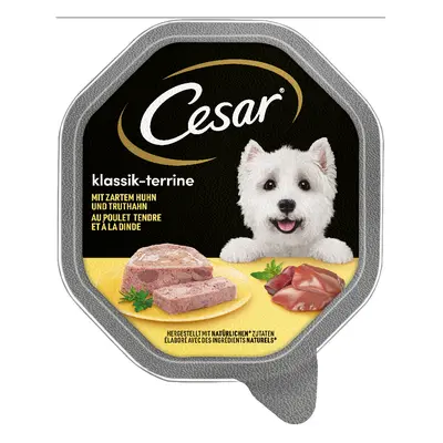 Cesar Vaschette 56 x 150 g Umido per cane - Ricette Classiche: Pollo e Tacchino