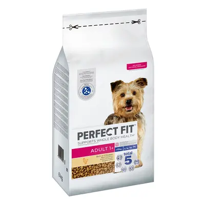 Perfect Fit Adult Small Dogs (