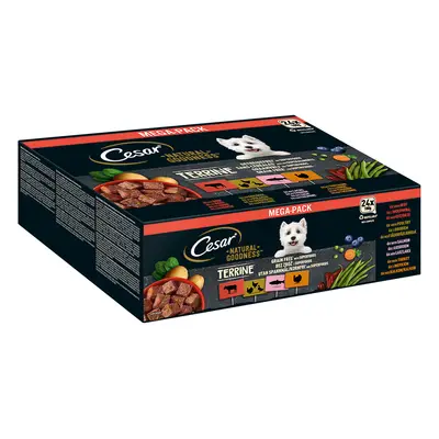 Cesar Natural Goodness Senza cereali con superfood 24 x 100 g Umido cane - Terrina mix (pollame,