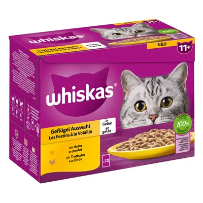 Whiskas 7+ Senior buste 24 x 85 g - 24 x 85 g 11+ Selezione Carni Bianche in Gelatina