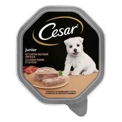 Cesar Junior Vaschette 28 x 150 g Umido per cane - Tacchino e vitello